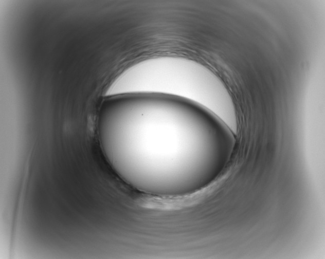 X0000099380033200805081209