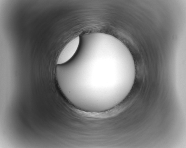 X0000099380034200805081209