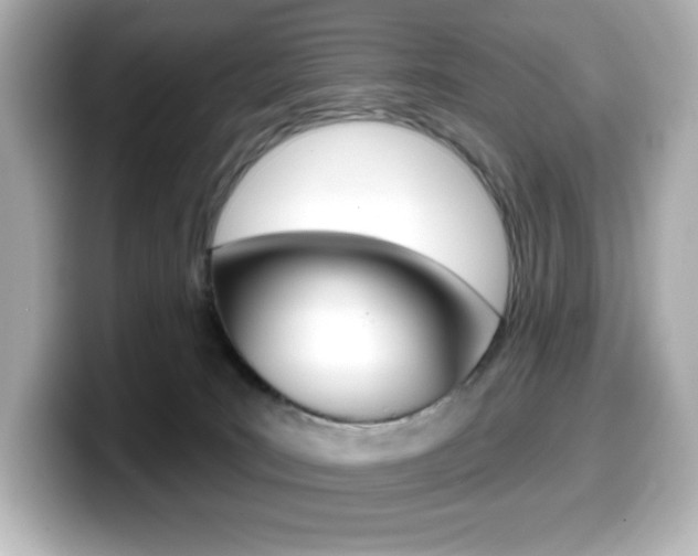 X0000099380035200805081209