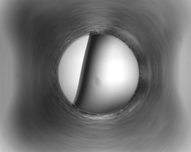 X0000099380036200805081209