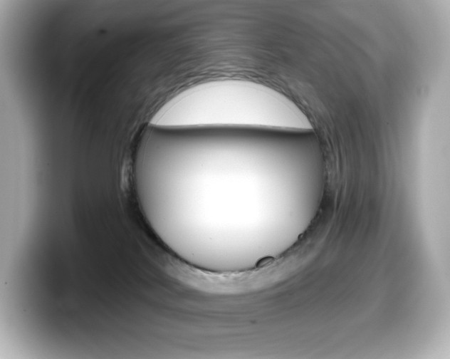 X0000099380038200805081208