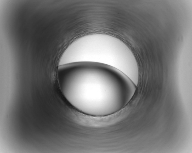 X0000099380039200805081208