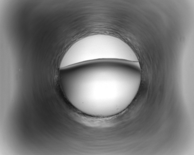 X0000099380040200805081208