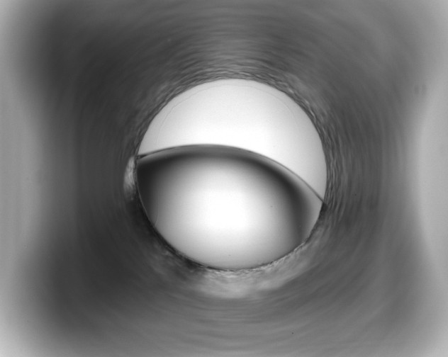 X0000099380041200805081208