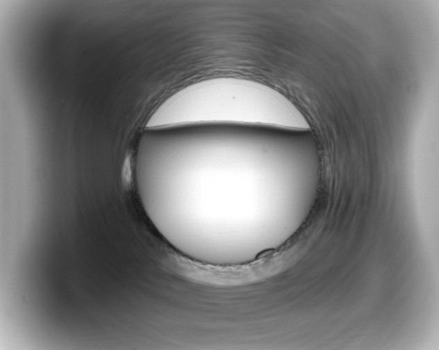 X0000099380042200805081208