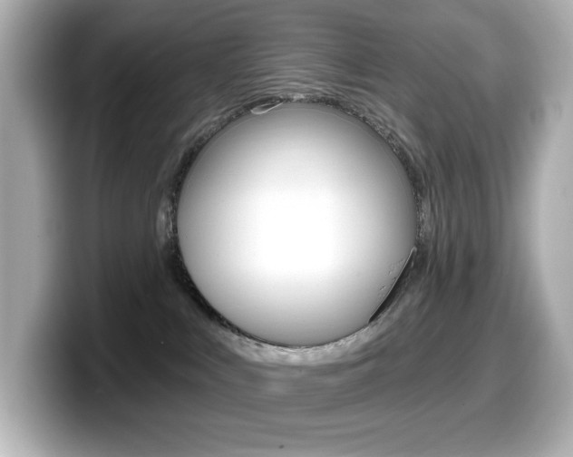 X0000099380043200805081208