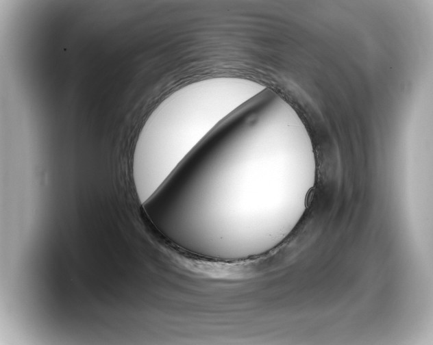 X0000099380044200805081208