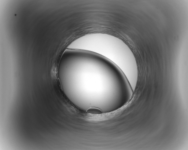 X0000099380045200805081208
