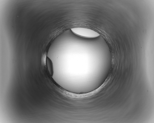 X0000099380047200805081208