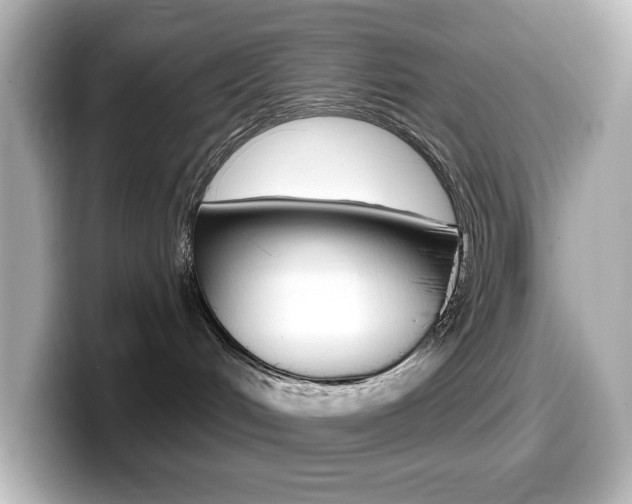 X0000099380048200805081208