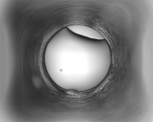 X0000099380049200805081208