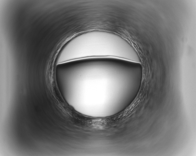 X0000099380050200805081208