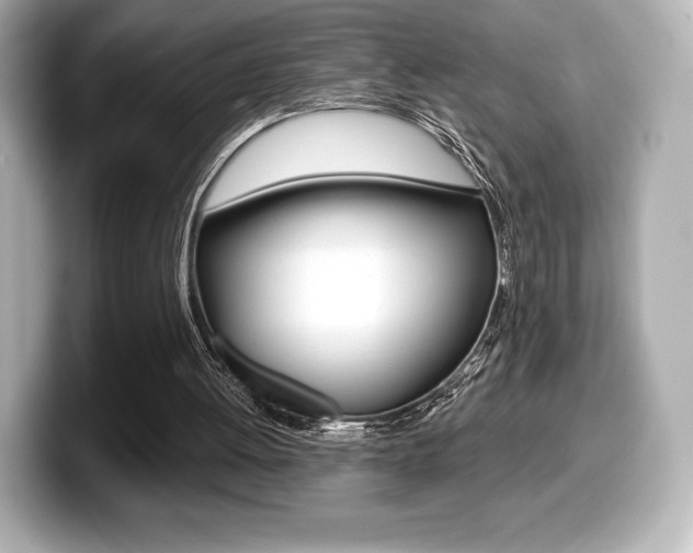 X0000099380052200805081208