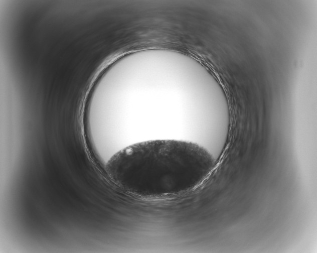 X0000099380054200805081208