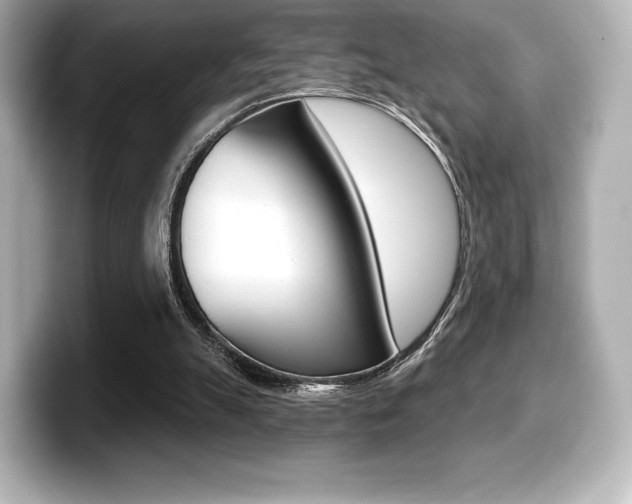 X0000099380055200805081208