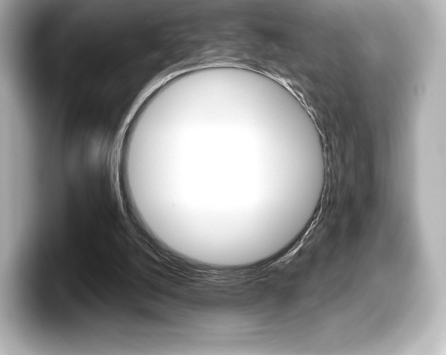 X0000099380056200805081208