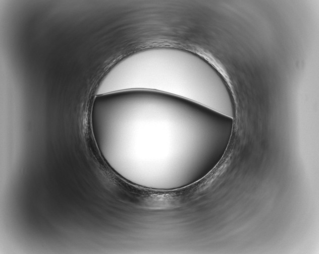 X0000099380057200805081208