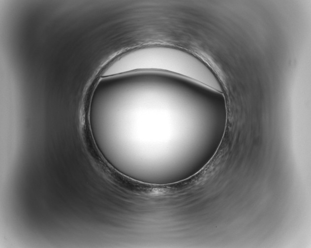 X0000099380060200805081208