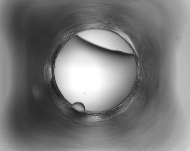 X0000099380061200805081208