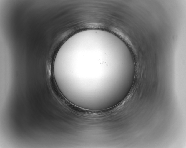 X0000099380062200805081208