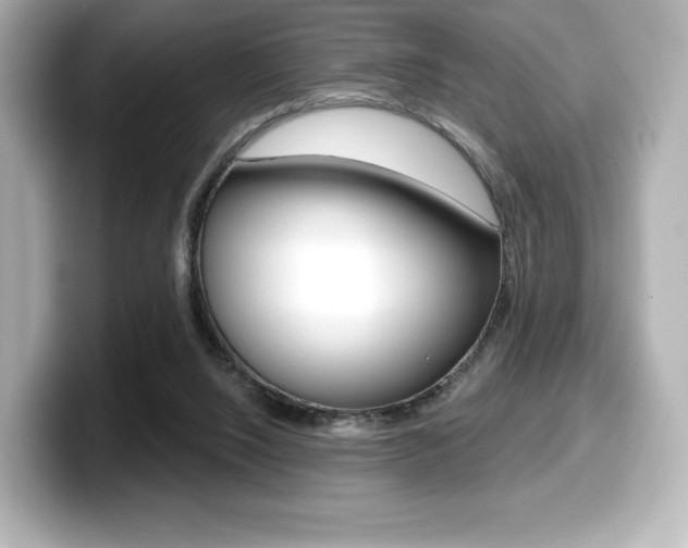 X0000099380064200805081208