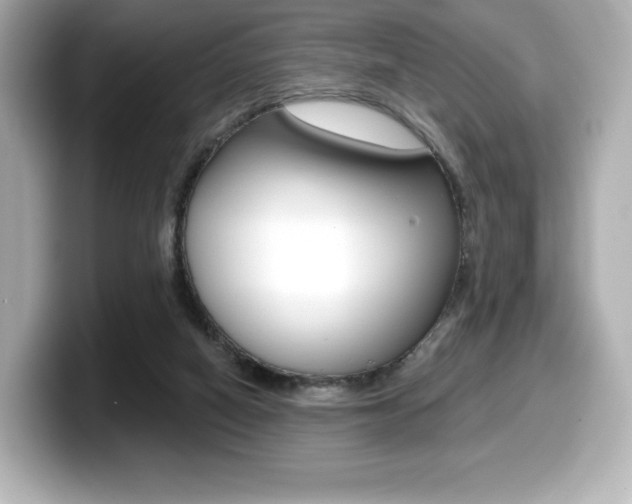 X0000099380066200805081208