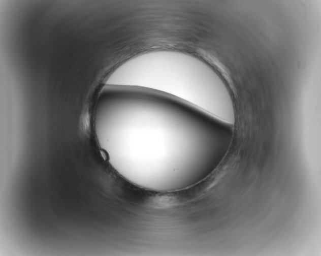 X0000099380067200805081208