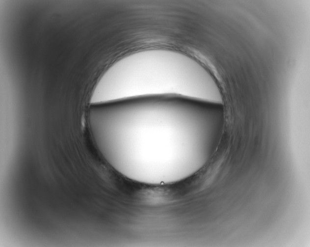 X0000099380069200805081208