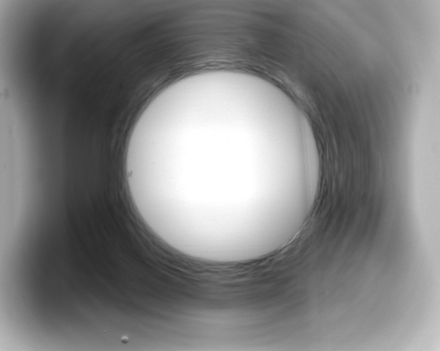 X0000099380070200805081208