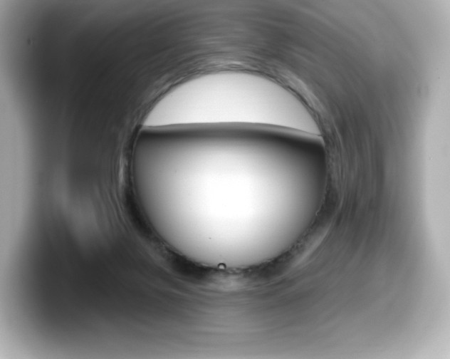 X0000099380071200805081208