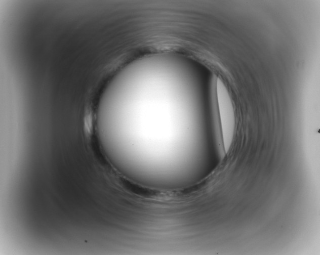 X0000099380076200805081208