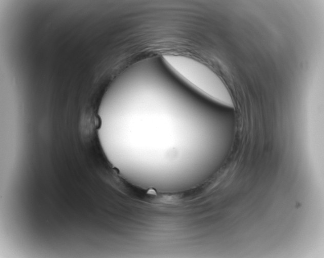 X0000099380081200805081208