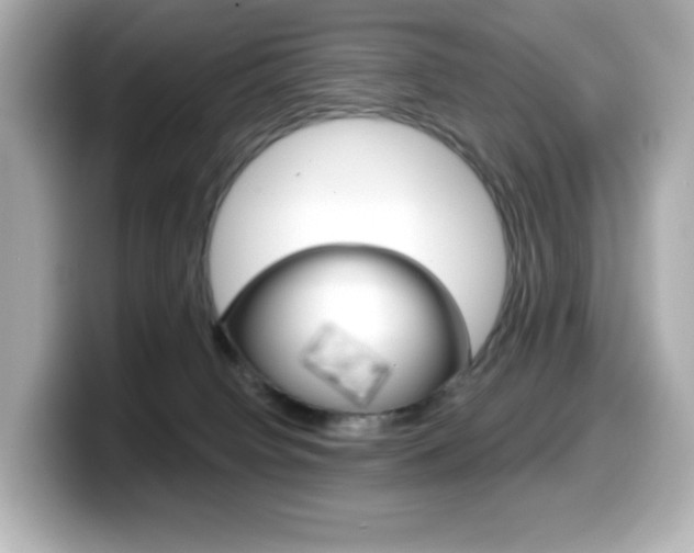 X0000099380084200805081208