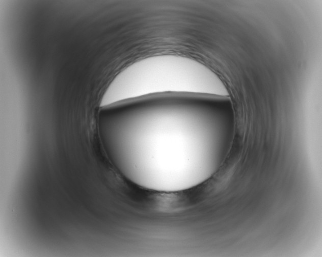 X0000099380085200805081208