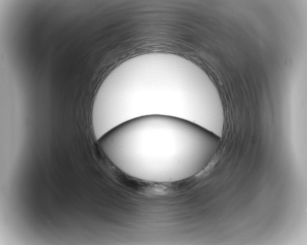 X0000099380086200805081208