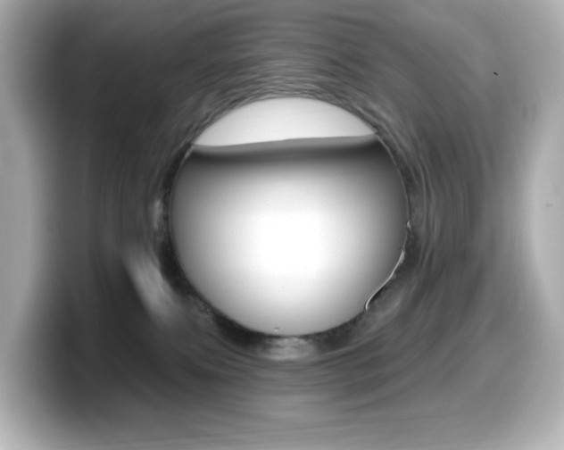 X0000099380087200805081208