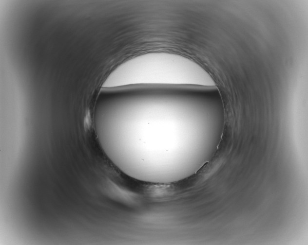X0000099380089200805081208