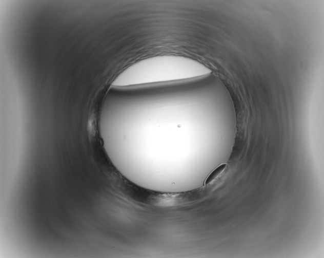 X0000099380090200805081208