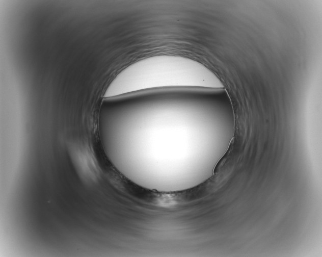 X0000099380091200805081208