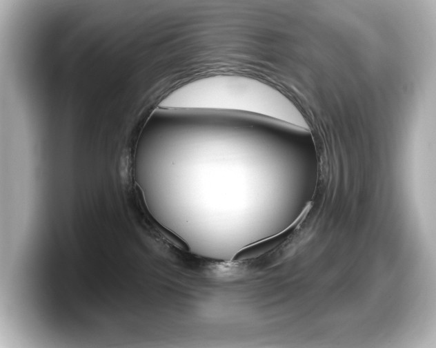 X0000099380092200805081208