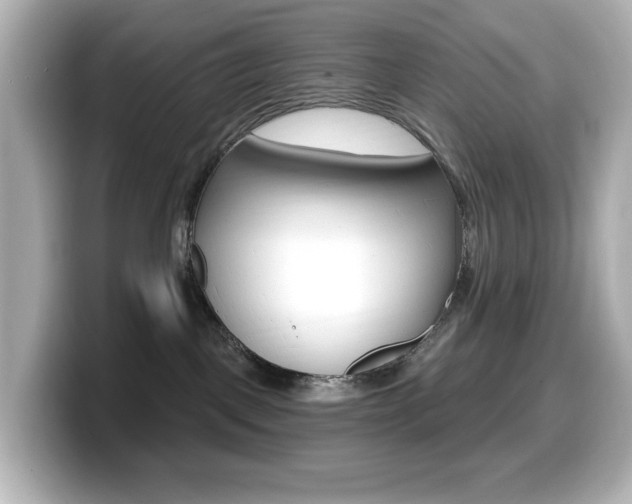 X0000099380093200805081208