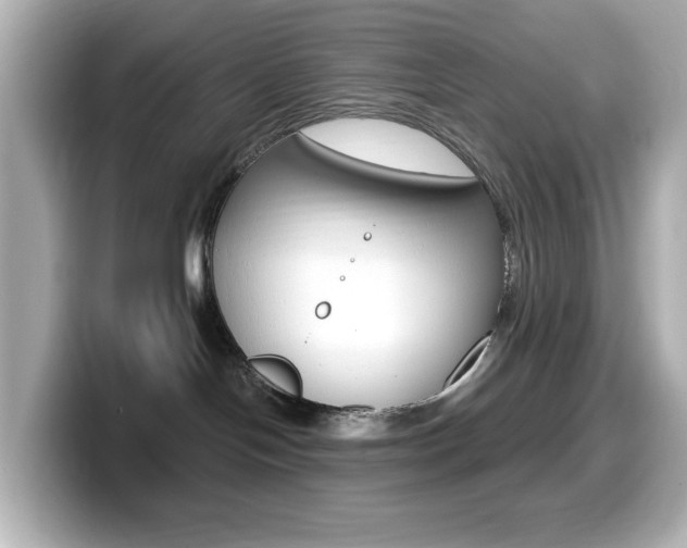 X0000099380094200805081208