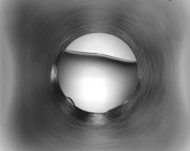 X0000099380095200805081208