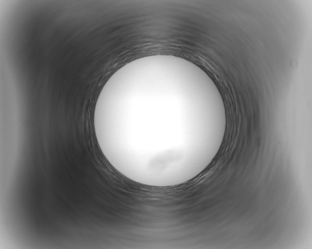 X0000099380096200805081208