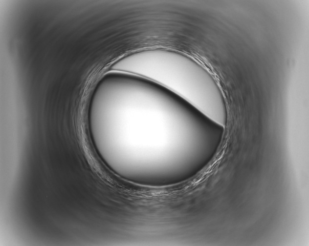 X0000099380097200805081208