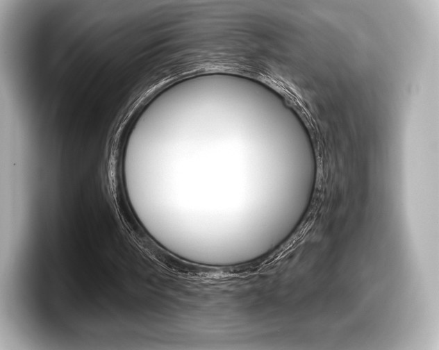 X0000099380098200805081208