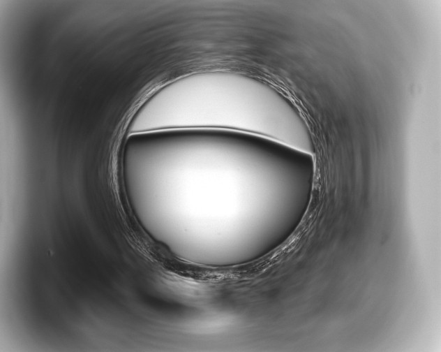 X0000099380099200805081208