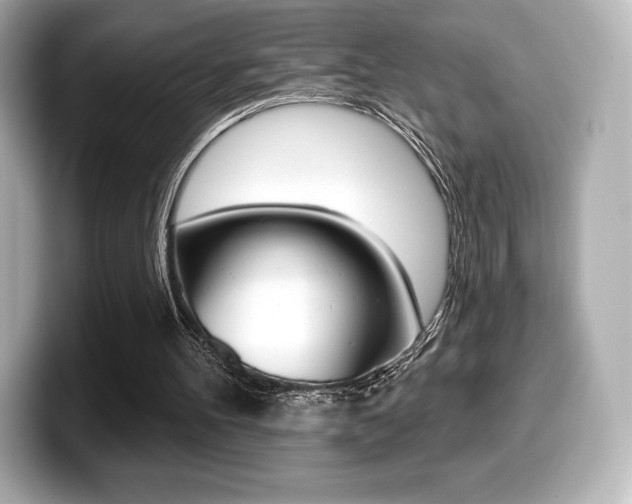 X0000099380100200805081208