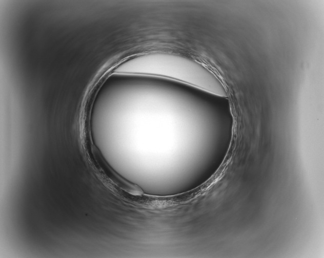 X0000099380101200805081208