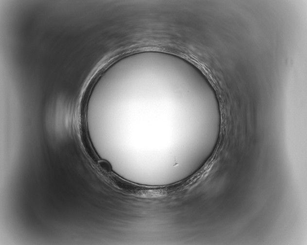 X0000099380102200805081208
